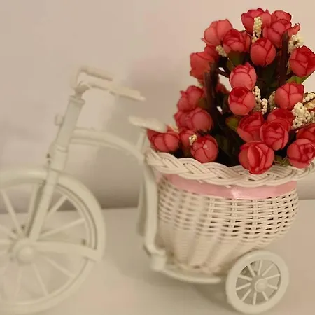 In Pieno Centro A Apartment *