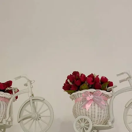 In Pieno Centro A Apartment Trient